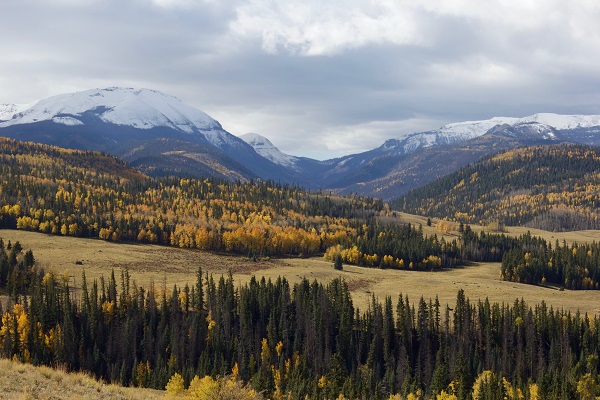 Aspen Weather Forecast