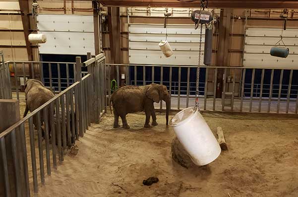 cheyenne mountain zoo