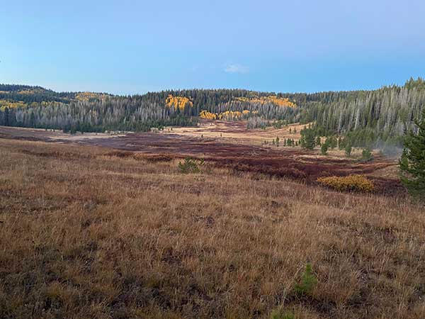 steamboat springs hiking and camping