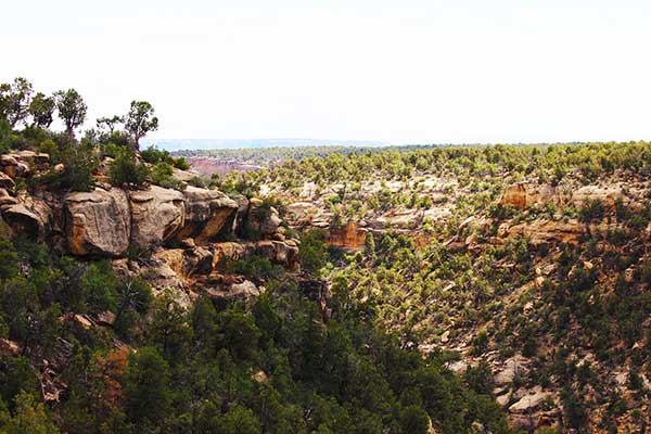 mesa verde camping